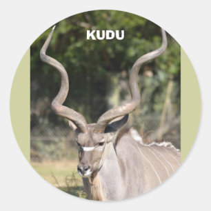 Greater Kudu Classic Round Sticker