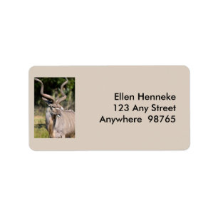 Greater Kudu Label
