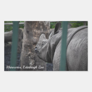 Greater One-Horned Rhinoceros at Edinburgh Zoo Sticker