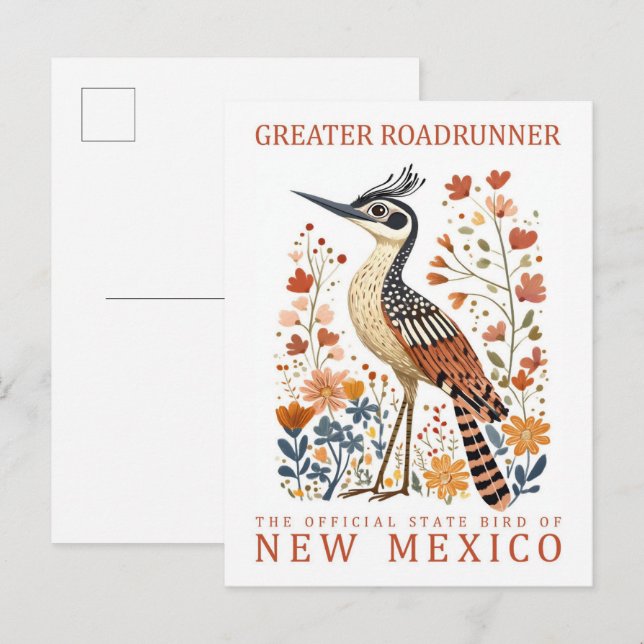 Greater Roadrunner Bird of New Mexico USA Postcard (Front/Back)