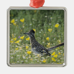 Greater Roadrunner, Geococcyx californianus, Metal Ornament