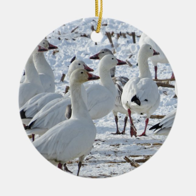 Greater Snow Geese in Cornfield (Winter) Ceramic Ornament (Front)