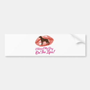 Greater Swiss Mountain Dog Bumper Sticker