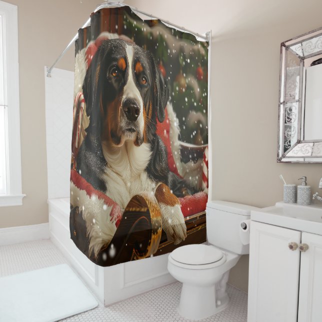 Greater Swiss Mountain Dog Christmas Festive (In Situ)
