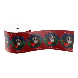 Greater Swiss Mountain Dog Christmas Grosgrain Ribbon