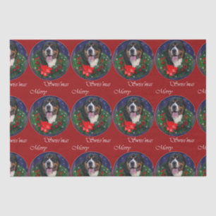 Greater Swiss Mountain Dog ChristmasTissue Paper