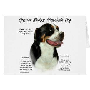 Greater Swiss Mountain Dog History Design