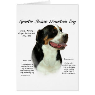 Greater Swiss Mountain Dog History Design