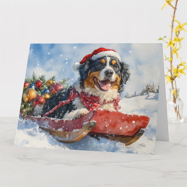 Greater Swiss Mountain Dog in Sledge Christmas Card (Yellow Flower)