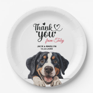 Greater Swiss Mountain Dog Photo Paper Plate