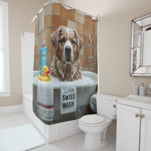 Greater Swiss Mountain Sloppy Sleepy Cute Funny