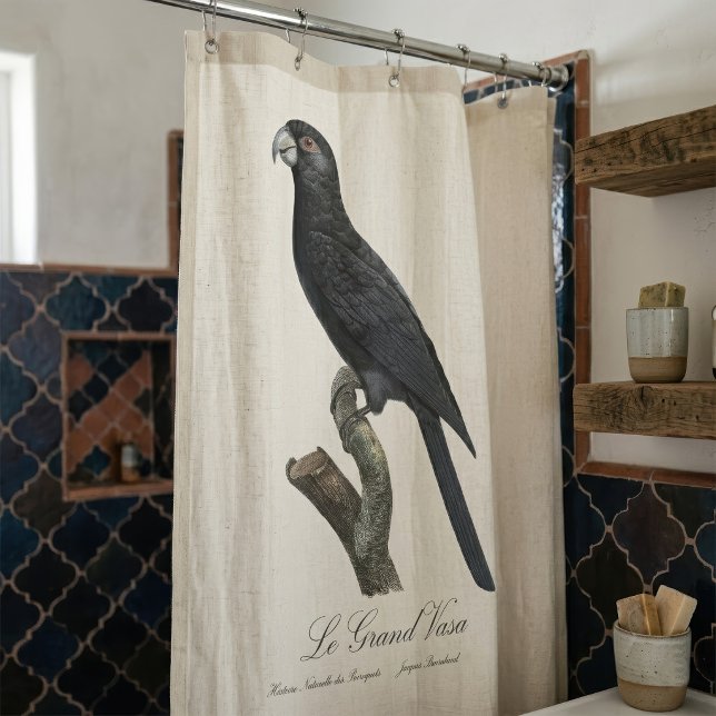 Greater Vasa Parrot, Coracopsis Vasa Illustration (Greater Vasa Parrot, Coracopsis Vasa Illustration. Shower Curtain)