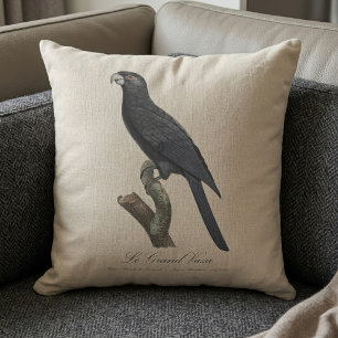 Greater Vasa Parrot, Coracopsis Vasa Illustration Throw Pillow