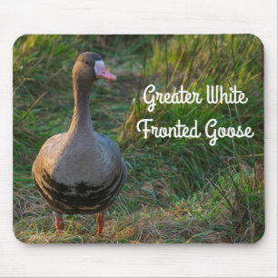 Greater White Fronted Goose Mouse Pad