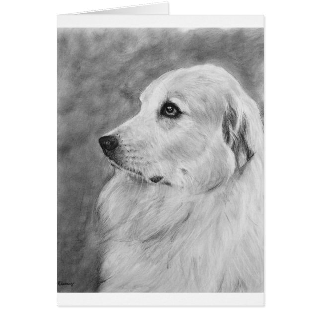 GreatPyreneese.jpg (Devant)