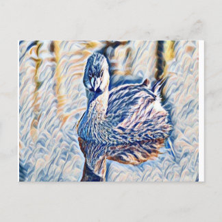Grebe Postcard