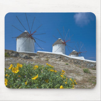 Greece, Cyclades Islands, Mykonos, Flowers near Mouse Pad