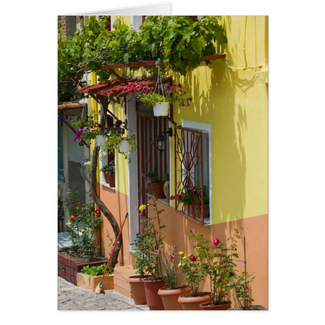 GREECE, Northeastern Aegean Islands, LESVOS (Front)