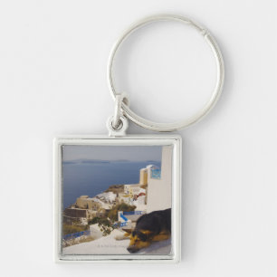 Greece, Santorini Island, Oia City, dog sleeping Keychain