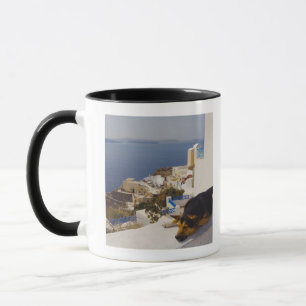 Greece, Santorini Island, Oia City, dog sleeping Mug