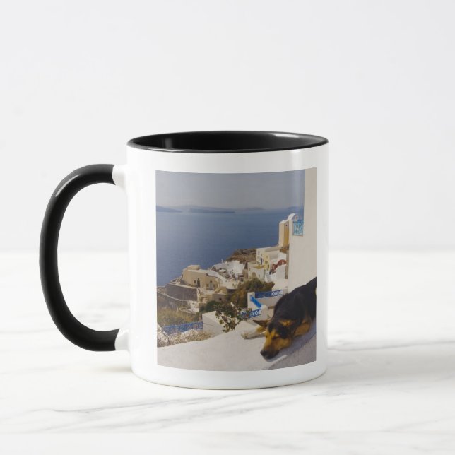 Greece, Santorini Island, Oia City, dog sleeping Mug (Left)