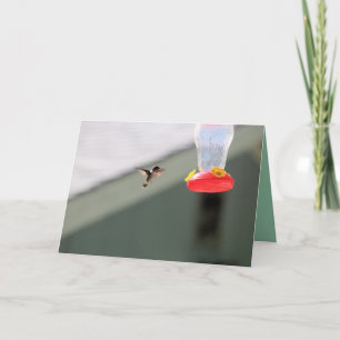 Greedy little fellow card
