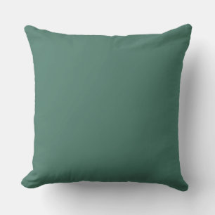 greeen throw pillow
