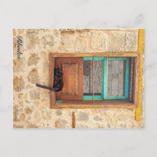 Greek Feline Postcard
