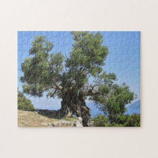 Greek Olive Tree (Kefalonia) Jigsaw Puzzle
