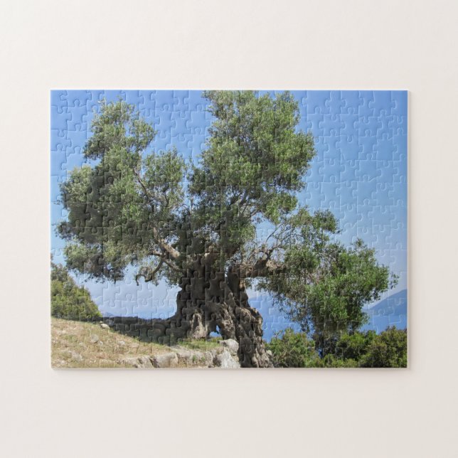 Greek Olive Tree (Kefalonia) Jigsaw Puzzle (Horizontal)