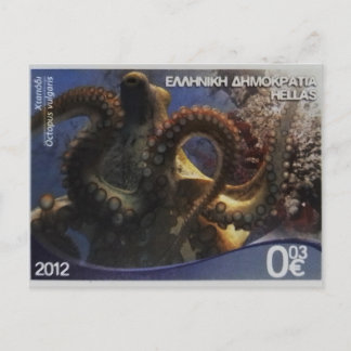 Greek postage stamp Common octopus Postcard