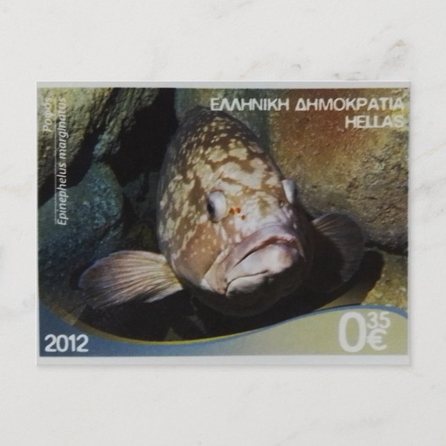 Greek postage stamp Dusky Grouper Postcard (Front)