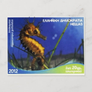 Greek postage stamp Long-snouted seahorse   Postcard