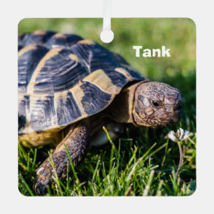 Greek Tortoise in the grass Metal Ornament