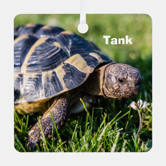 Greek Tortoise in the grass Metal Ornament (Front)