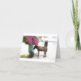 GreekIslandHouse.com Donkey Mascot Opa! Card