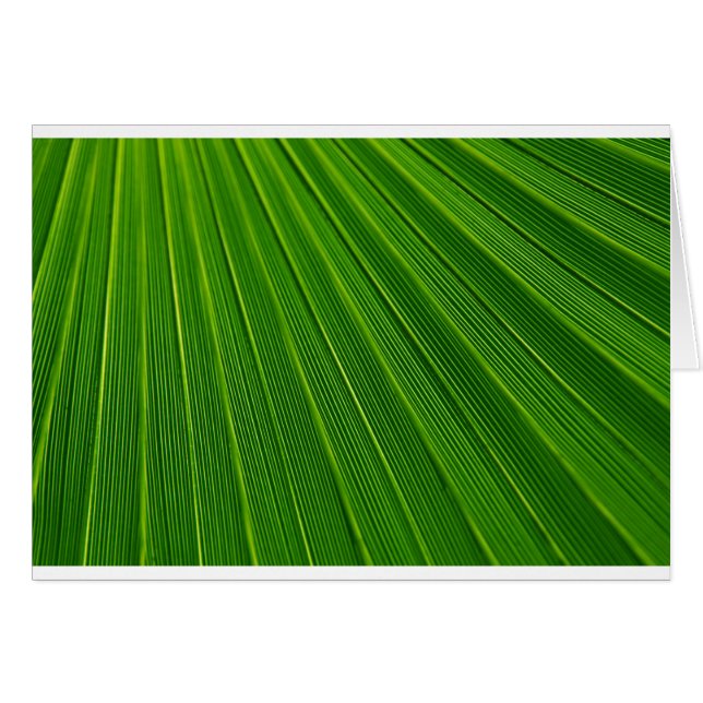 Green Abstract Background (Front Horizontal)