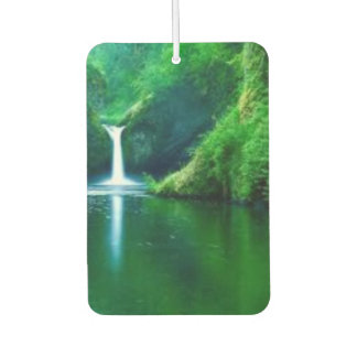 Green Abstract Moss Texture iPhone Case Air Freshener
