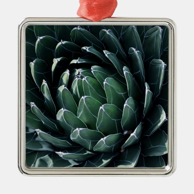 Green Agave Metal Ornament (Front)