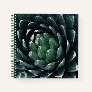 Green Agave Notebook