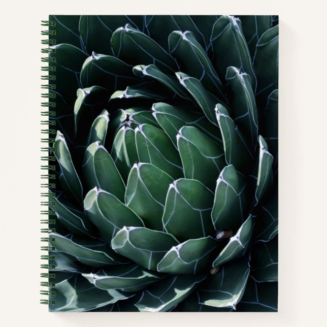 Green Agave Notebook (Front)