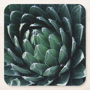 Green Agave Square Paper Coaster