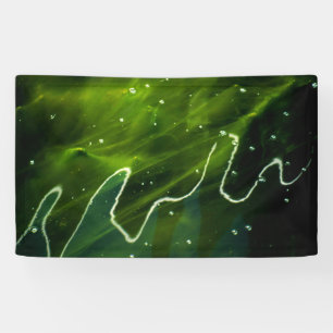 Green Algae and Water bnrcn Banner