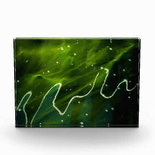 Green Algae and Water pbcn Photo Block