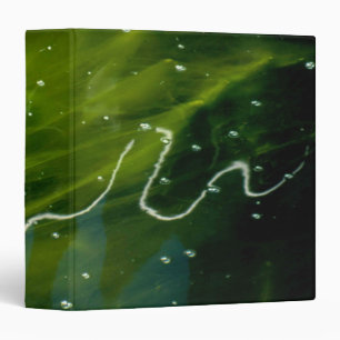 Green Algae and Water rbcnm Binder