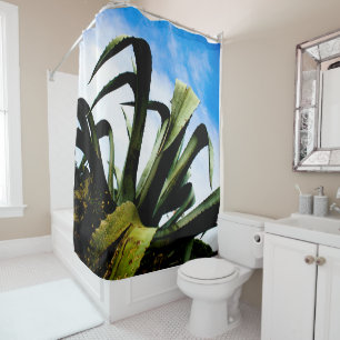 Green Aloe Plant with Bright Blue Sky