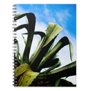 Green Aloe Plant with Bright Blue Sky Notebook