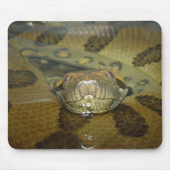 Green Anaconda Mouse Pad (Front)