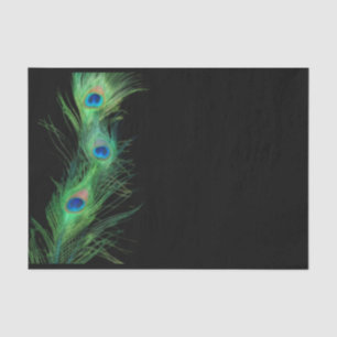 Green and Black Peacock Feather Tissue Paper