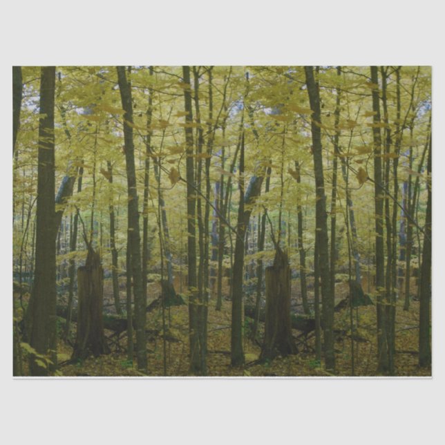 Green and black trees tissue paper (Front)